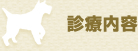 診療内容