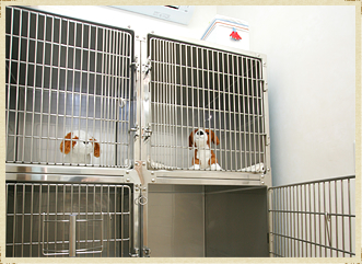 入院室(犬用、猫用)